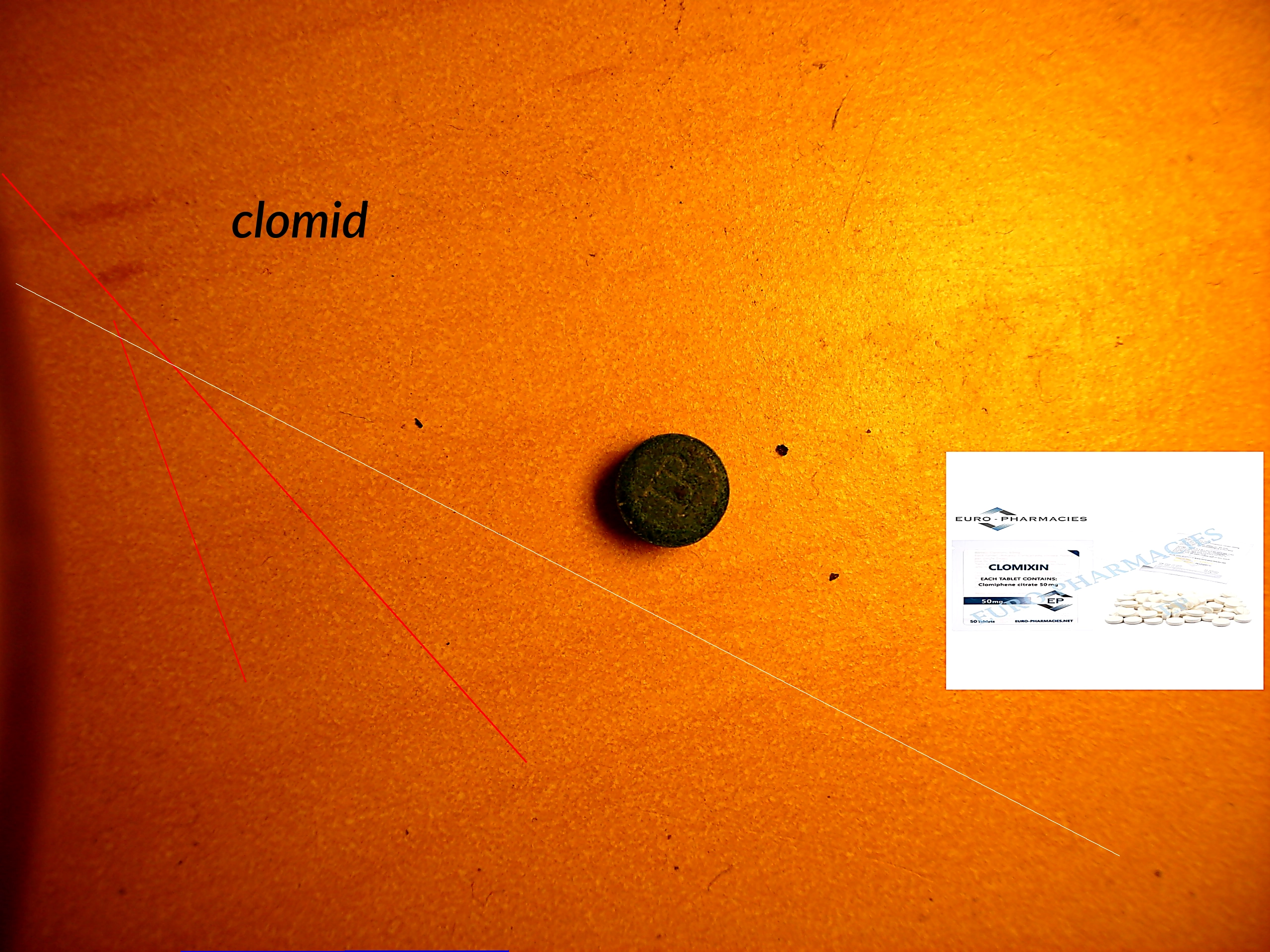 Clomid 50mg sans ordonnance